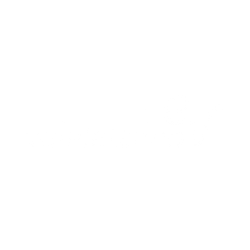 vaielettrico-250-trasp